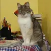 Отзыв от Виктория Мешкова